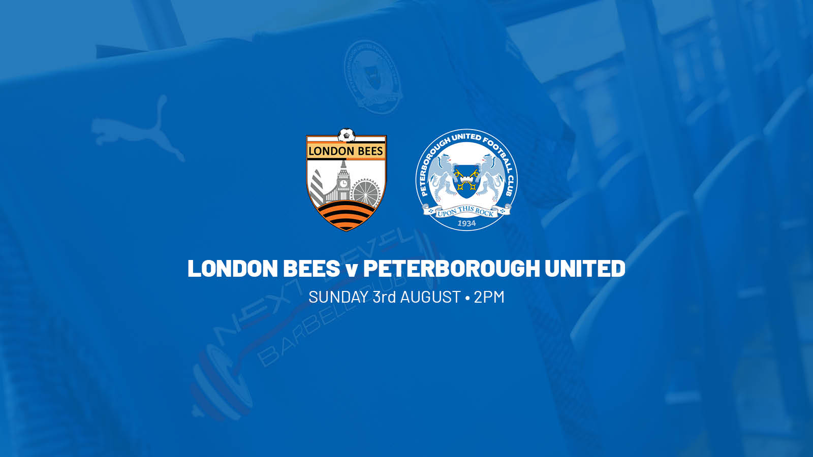 London Bees v Posh Women