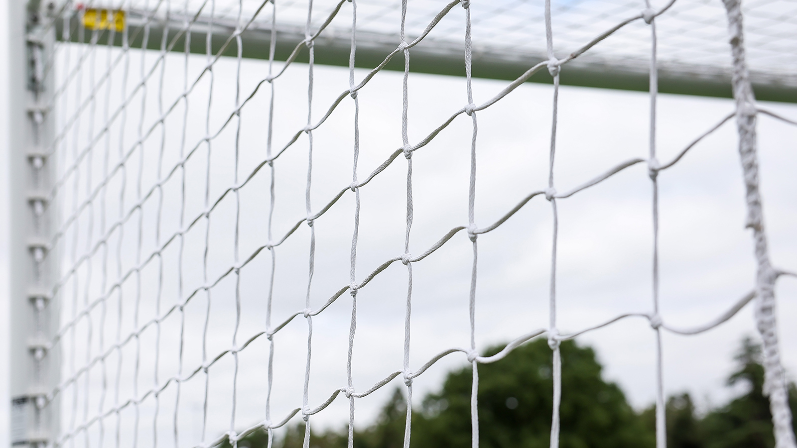 A generic view of a goal net