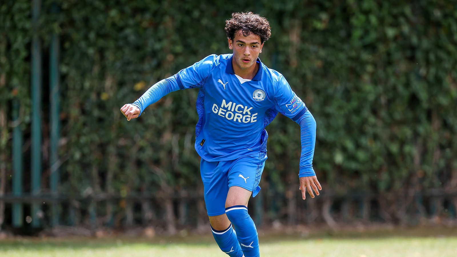 Joe Davies