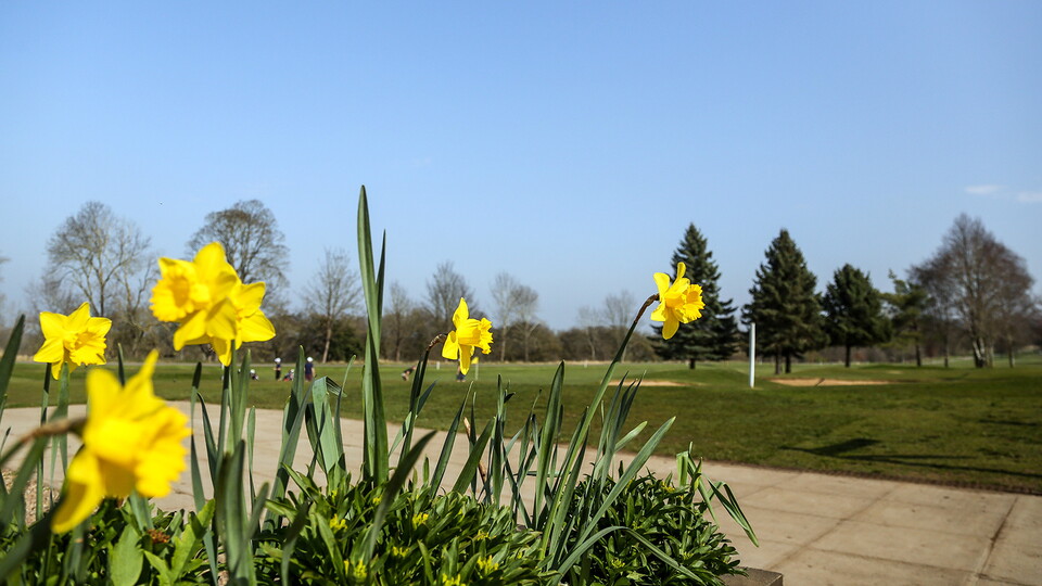 Posh Golf Day - 23/03/2022