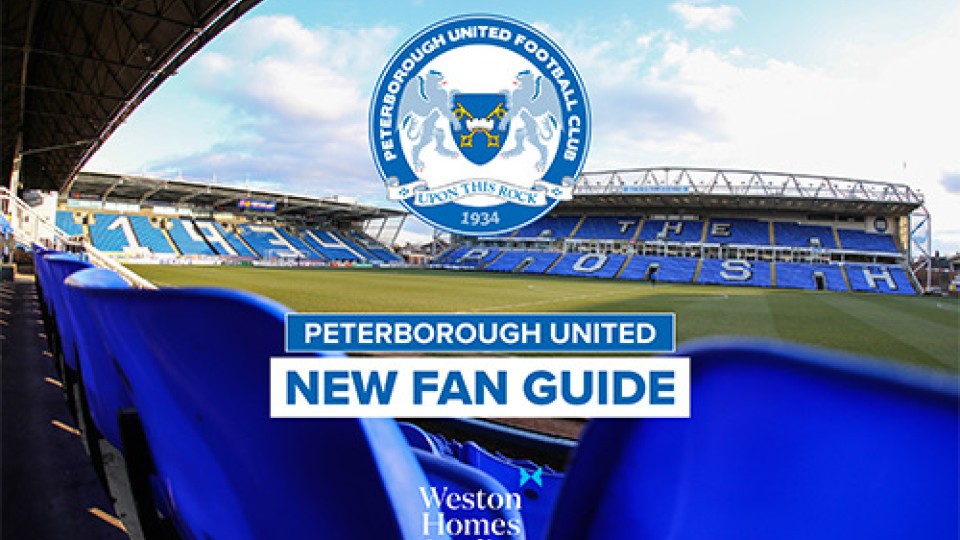 new-fan-guide