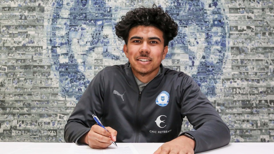 Hisham Signs