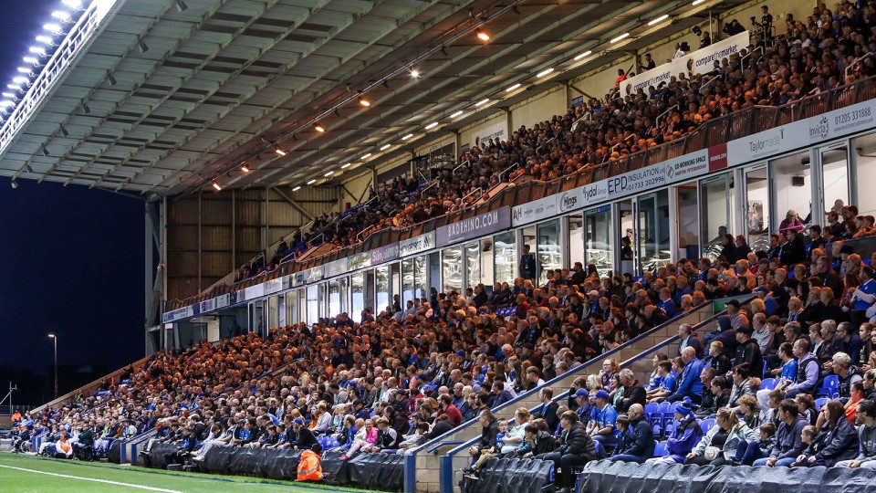 The Meerkat Family Stand