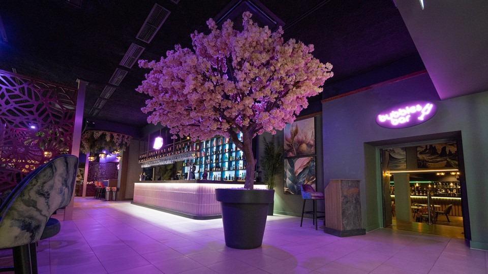 Katana Signs Up As Instagram Sponsor