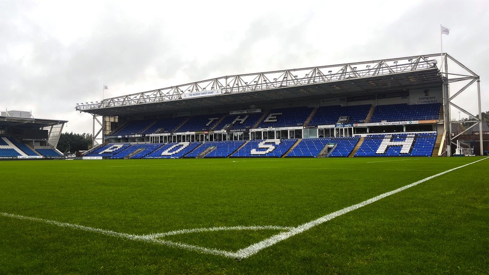 The Meerkat Family Stand