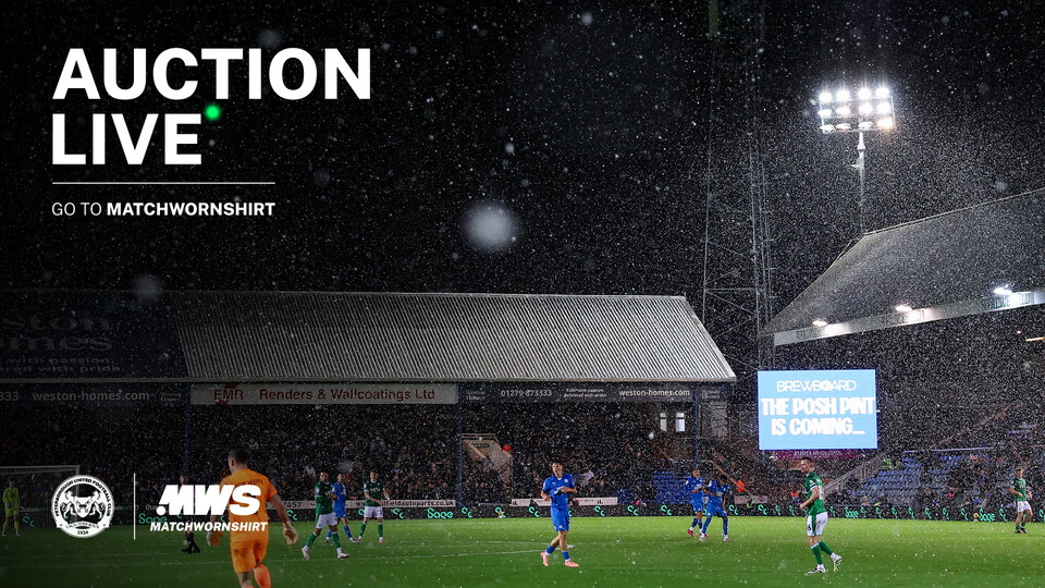 MWS Christmas Auction