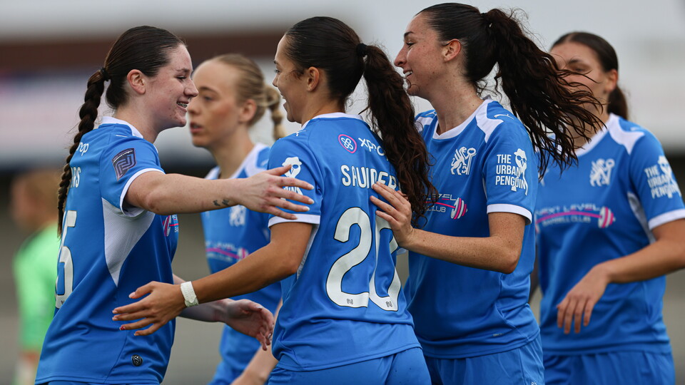 celebration