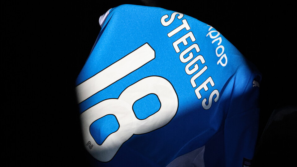 steggles