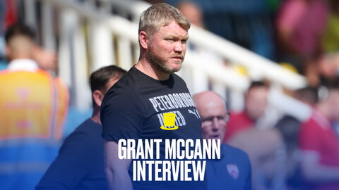 McCann Thumbnail