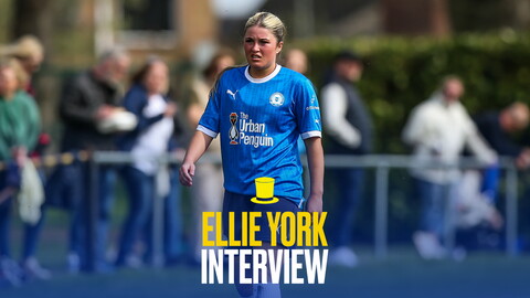 Ellie York Thubmnail