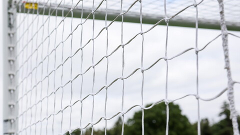 A generic view of a goal net