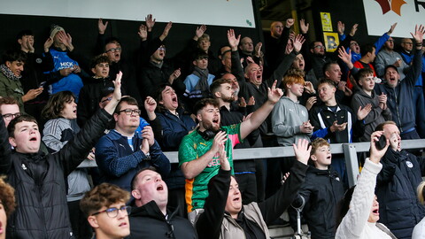 Posh Fans